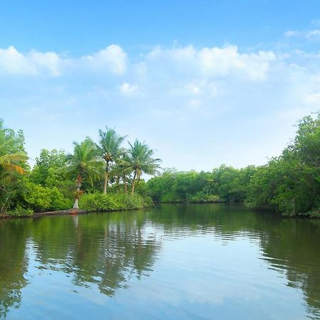 Global Lake Villa Hikkaduwa Kültér fotó